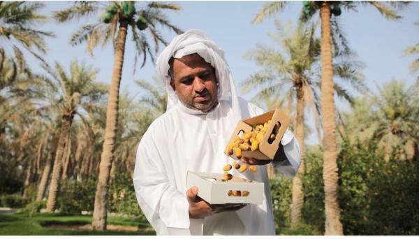 محصول الرطب «آمن» من موجات الغبار