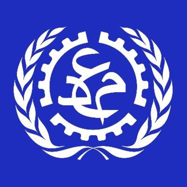 انتخاب المملكة عضواً أصيلاً في مجلس منظمة العمل