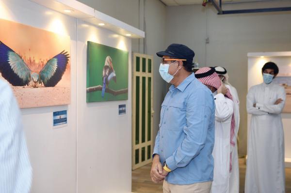 31 مشاركا في معرض «سلوك الطيور» بالدمام