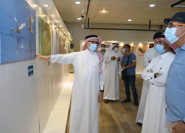 31 مشاركا في معرض «سلوك الطيور» بالدمام