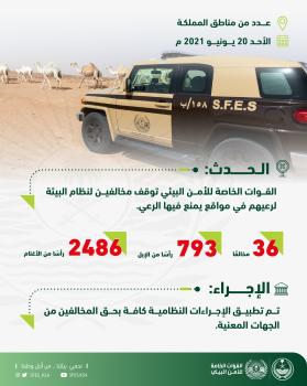 ضبط 36 شخصًا ارتكبوا مخالفات رعي