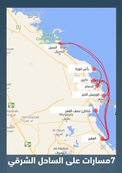 7 بالساحل الشرقي.. «النقل» تدرس 14 مساراً للنقل الساحلي 