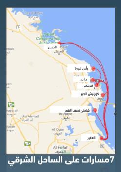 7 بالساحل الشرقي.. «النقل» تدرس 14 مساراً للنقل الساحلي 