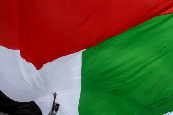 فلسطين: «الشيخ جراح» قضية الوجود الفلسطيني في القدس