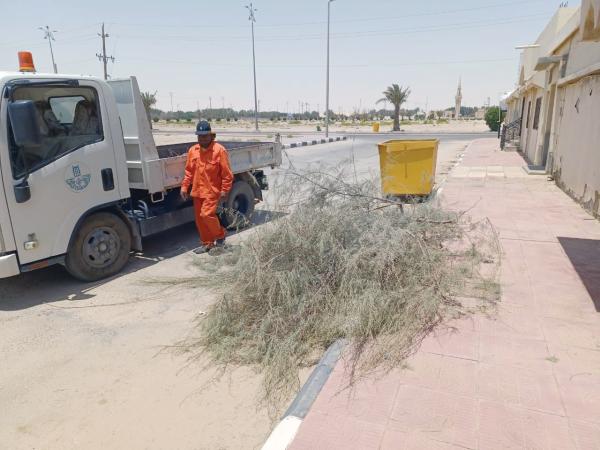 إزالة المخلفات والمركبات التالفة بشوارع مليجة