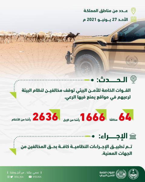 توقيف 64 شخصًا ارتكبوا مخالفات رعي
