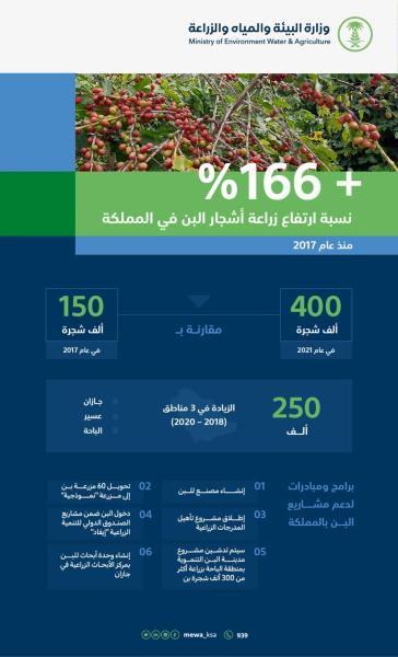 400 ألف شجرة.. المملكة تحقق قفزة نوعية في زراعات البن