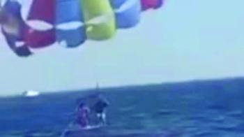 هبوط بين فكي «قرش»