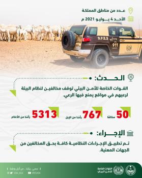 ضبط 50 مخالفًا لنظام البيئة لارتكابهم مخالفات رعي