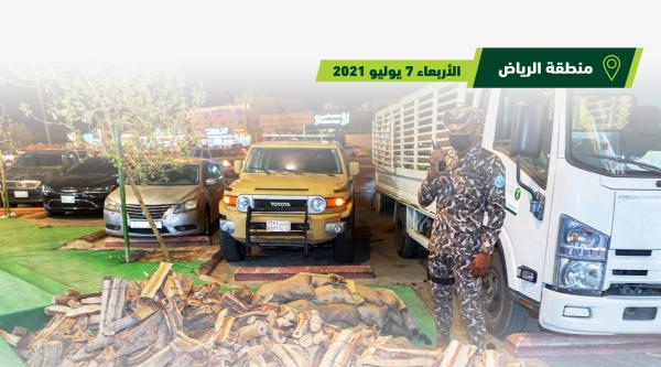 ضبط 61 مخالفًا يبيعون حطبًا محليًا لأغراض تجارية 