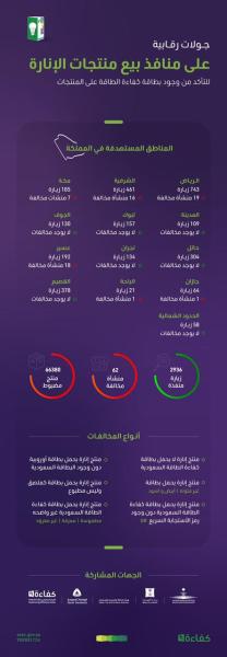 الشرقية ثالثا.. 66 ألف منتج إنارة مخالف لـ«كفاءة الطاقة»
