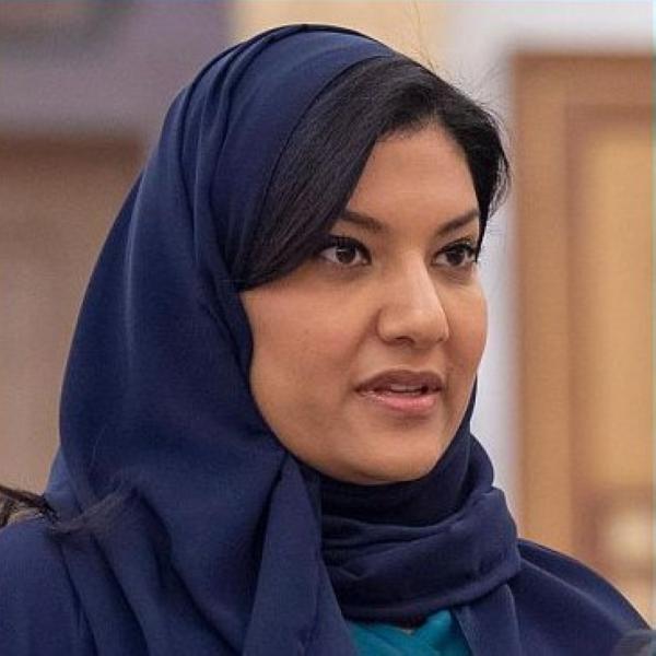 إطلاق منظمة عالمية للحفاظ على القطط البرية 'السنوريات'