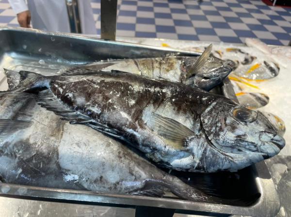 بالصور .. ضبط 1144 كيلَو أغذية غير صالحة بالهفوف