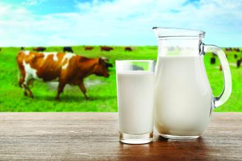الحليب منخفض السعرات الحرارية