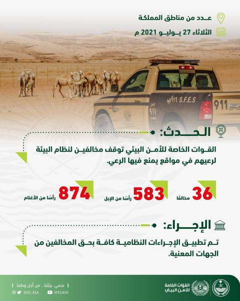 ضبط 36 مخالفًا لنظام البيئة لارتكابهم مخالفات رعي