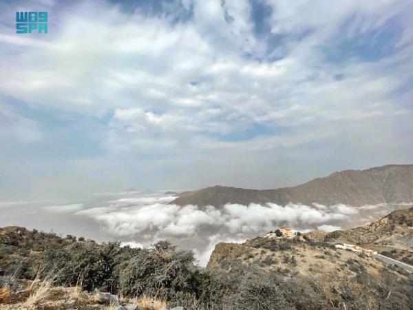 «الضباب»يكسو الباحة أجمل الحلل البيضاء