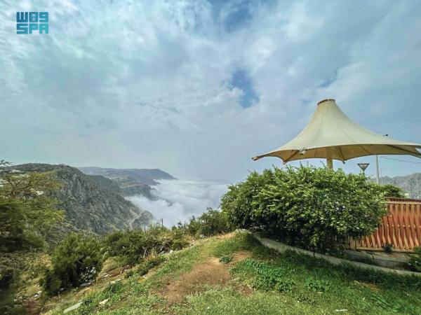 «الضباب»يكسو الباحة أجمل الحلل البيضاء