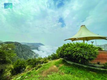«الضباب»يكسو الباحة أجمل الحلل البيضاء