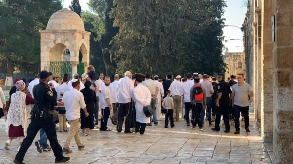 مستوطنون يقتحمون المسجد الأقصى تحت حماية مشددة