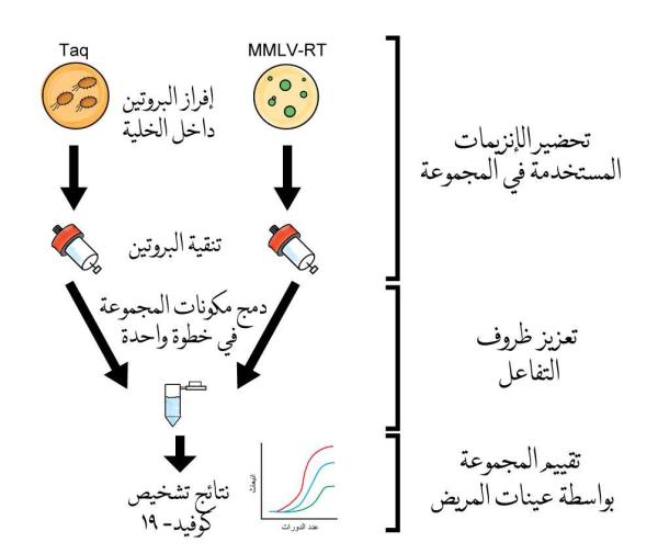 «كاوست» تطرح مجموعة اختبار «PCR» بمكونات محليّة