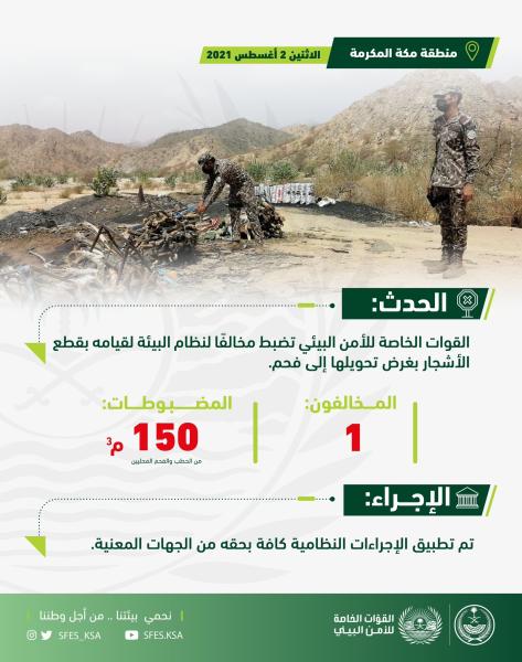 ضبط شخص يقطع الأشجار ويحولها إلى فحم