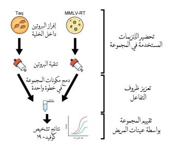 «كاوست» تطرح مجموعة اختبار «PCR» بمكونات محليّة