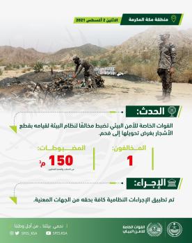 ضبط شخص يقطع الأشجار ويحولها إلى فحم