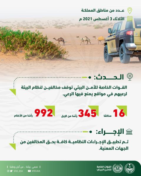 «الأمن البيئي» يضبط 16 لارتكابهم مخالفات رعي