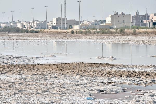 «ضاحية الدمام».. المستنقعات تقلق السكان