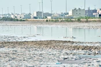 «ضاحية الدمام».. المستنقعات تقلق السكان