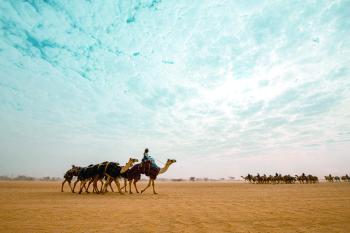 انطلاق مهرجان الهجن في نسخته الثالثة بالطائف.. اليوم