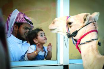 انطلاق مهرجان الهجن في نسخته الثالثة بالطائف.. اليوم