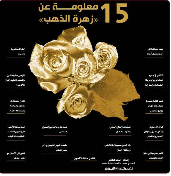 15 معلومة عن «زهرة الذهب»