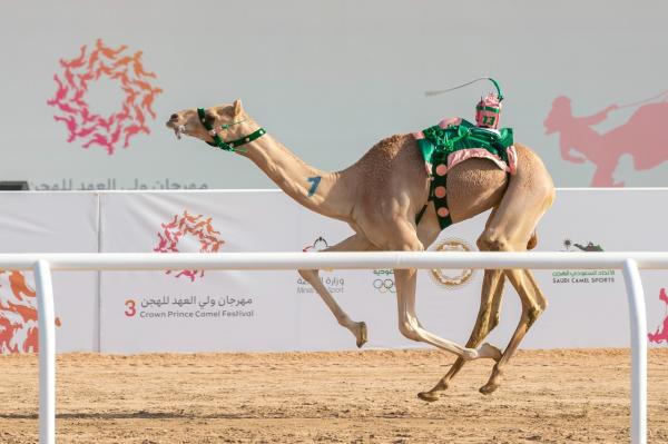 «جمـايل» و«شواش» ينتزعان أفضل توقيت