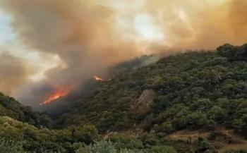 رئيس الوزراء الجزائري: الحرائق اندلعت بفعل فاعل