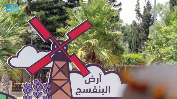 «أرض البنفسج» تستقبل زوارها بالورود