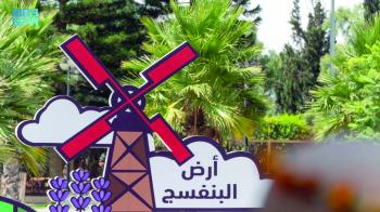 «أرض البنفسج» تستقبل زوارها بالورود