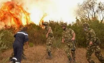 ضبط 22 شخصاً مشتبهاً بهم في حرائق الغابات بالجزائر