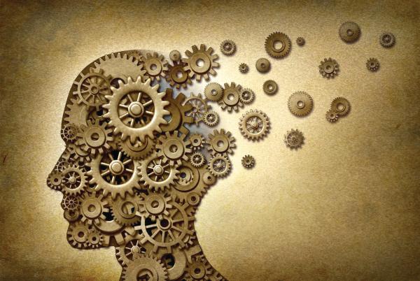 «الفيلسوف الصغير».. يصقل مهارات تفكير الأطفال الأساسية