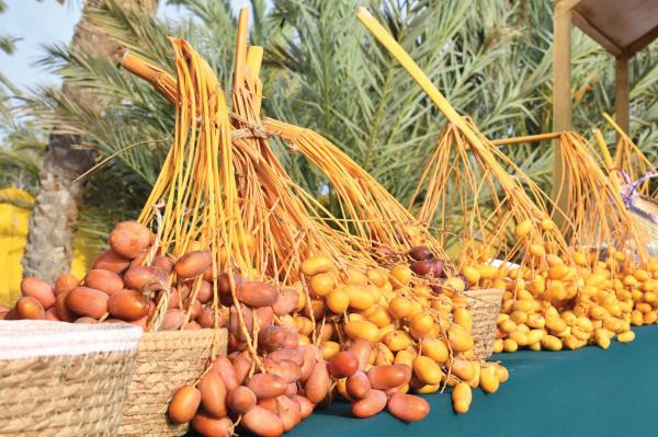 «فرسان».. «العاصف» يحيي الموروثات الثقافية الاجتماعية