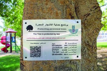 إطلاق مبادرة لحفظ الأشجار المعمرة بالدمام
