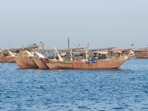 الكائنات البحرية «آمنة» على سواحل الشرقية