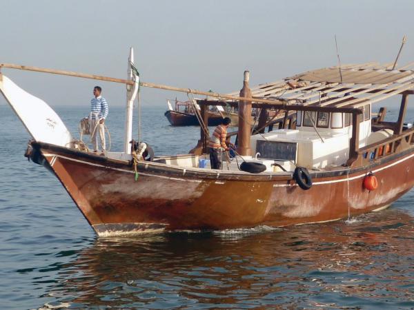 الكائنات البحرية «آمنة» على سواحل الشرقية