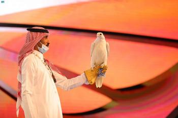 شاهد.. صقر كندي نادر الجمال الأغلى في المزاد