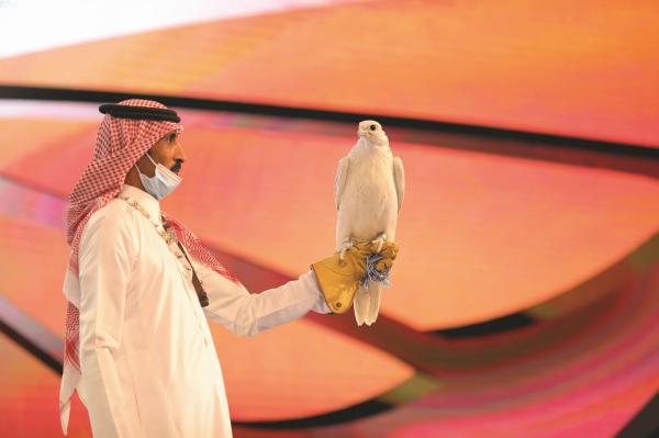 الصقر الكندي الأغلى بـ 350 ألف ريال