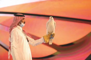الصقر الكندي الأغلى بـ 350 ألف ريال