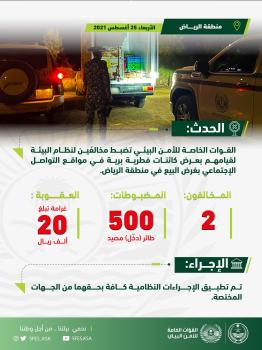 ضبط مخالفَين بحوزتهما 500 طائر «دخّل» في الرياض