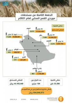صرف مستحقات الدفعة الثامنة من مزارعي القمح المحلي