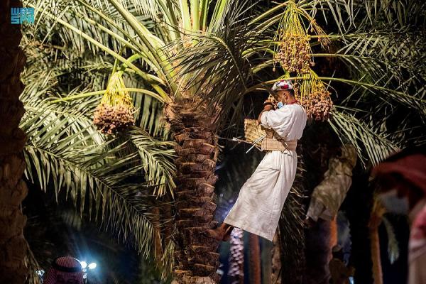 أمير القصيم يطلق جائزة خراف النخيل