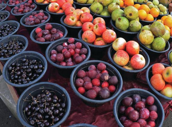 فواكه «عسير» الموسمية تتصدر خيرات الصيف